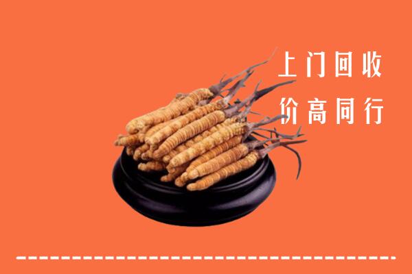 高价求购：红谷滩区回收散虫草