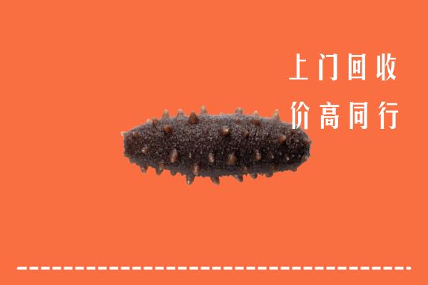 红谷滩区回收海参