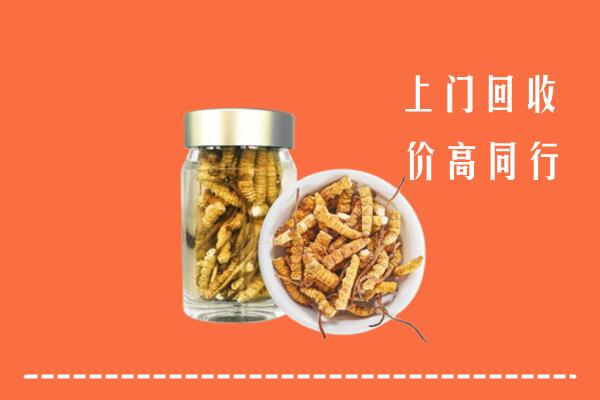 红谷滩区回收冬虫夏草