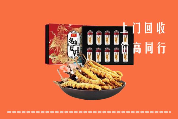 红谷滩区回收虫草